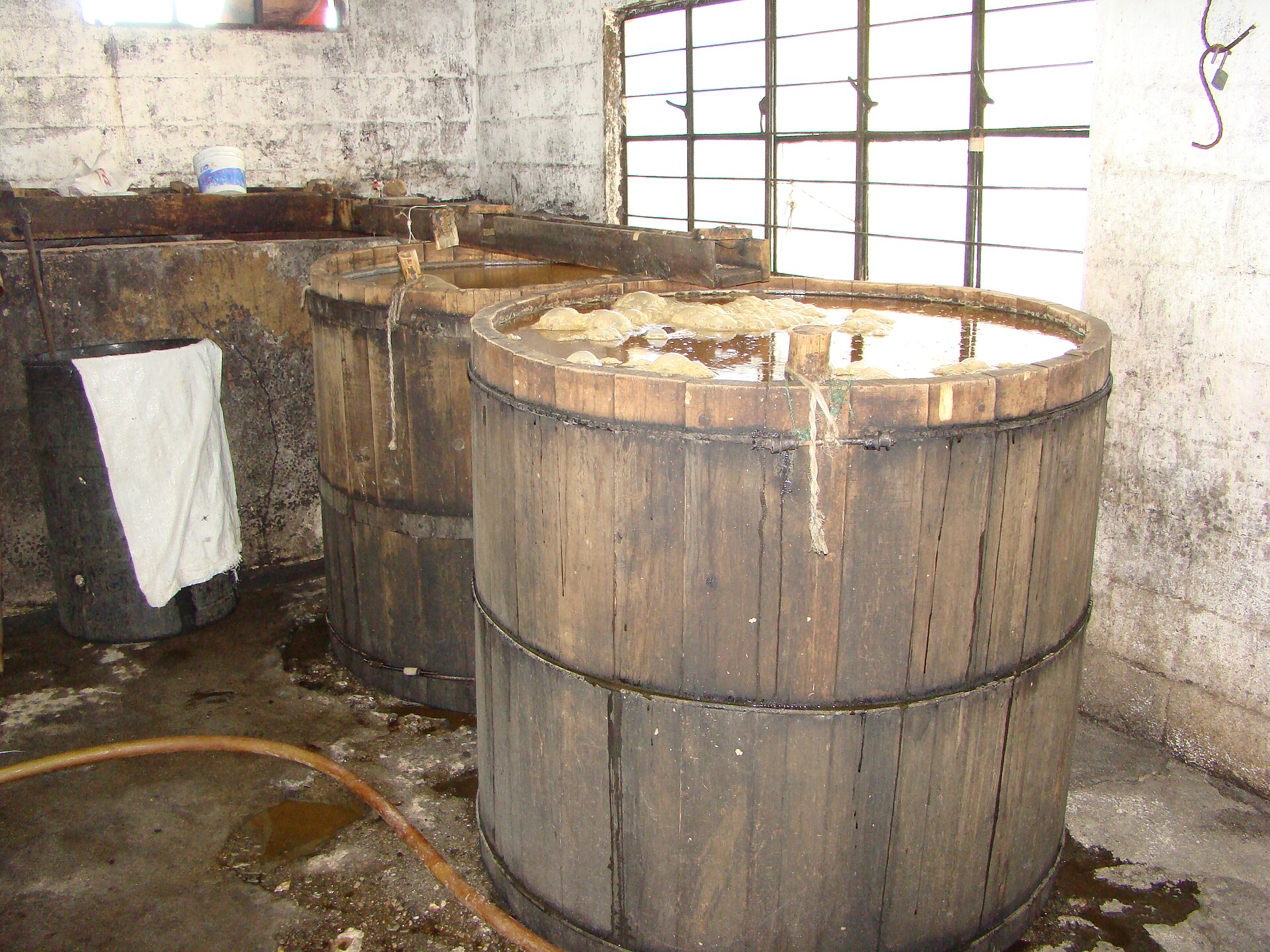 Tinas de madera en plena fermentación · palenque La Guadalupana