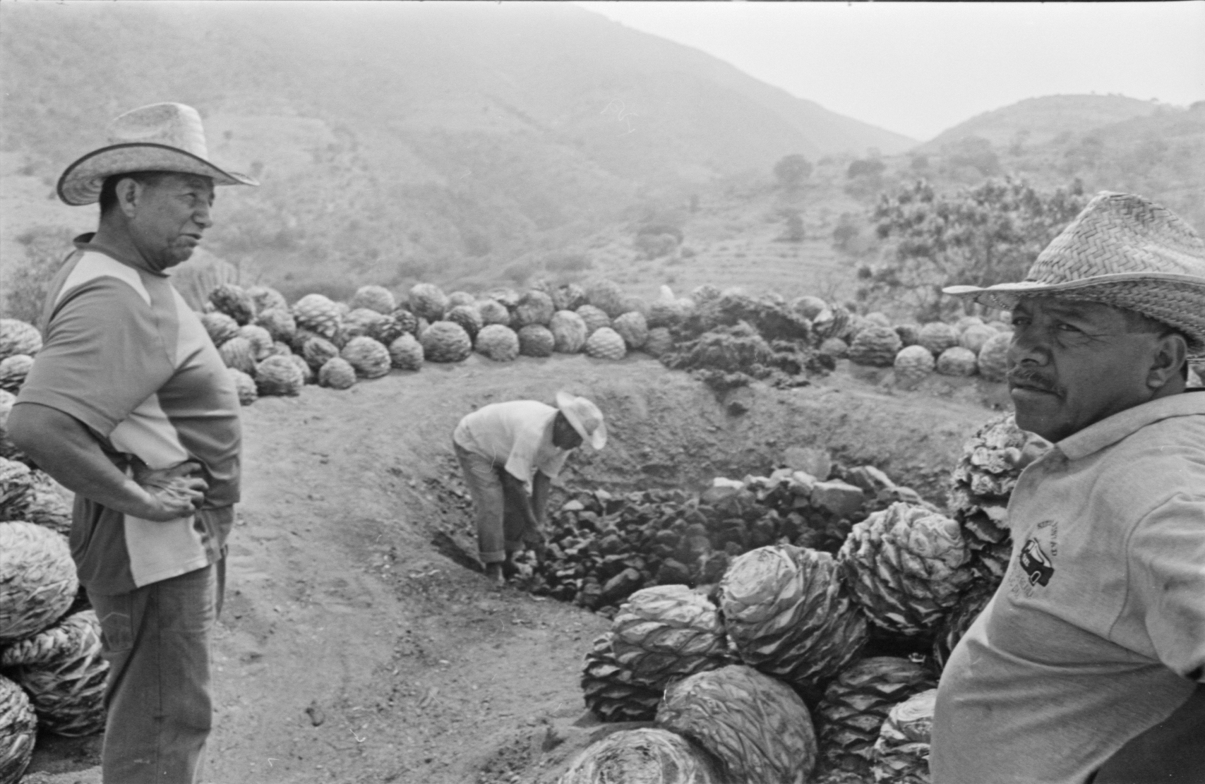 Mezcaleros llenando el horno de tierra · San Baltazar Guelavila