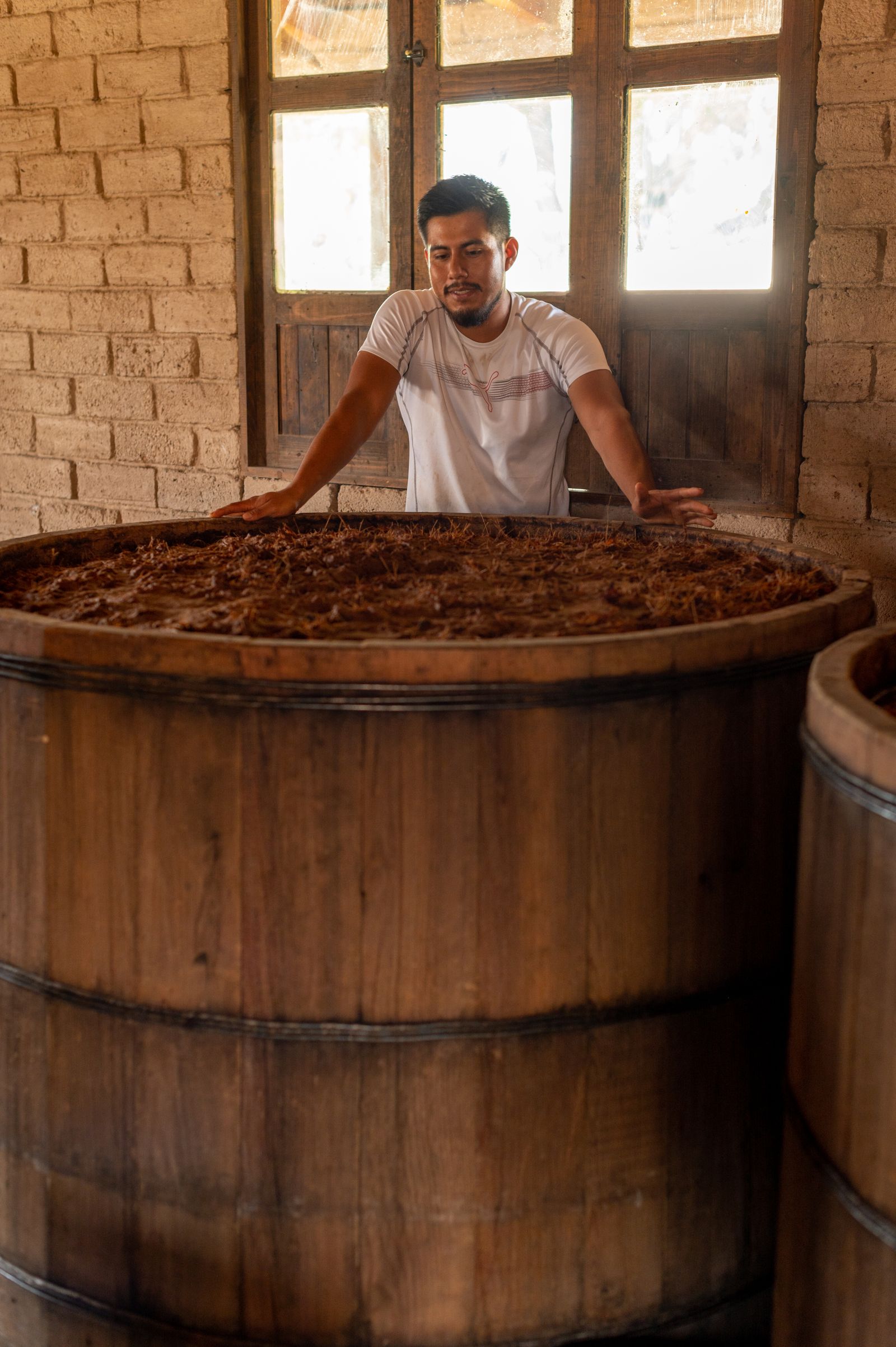 Vigilando la tina de madera durante la fermentación